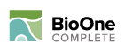 BioOne Complete Logo 141px